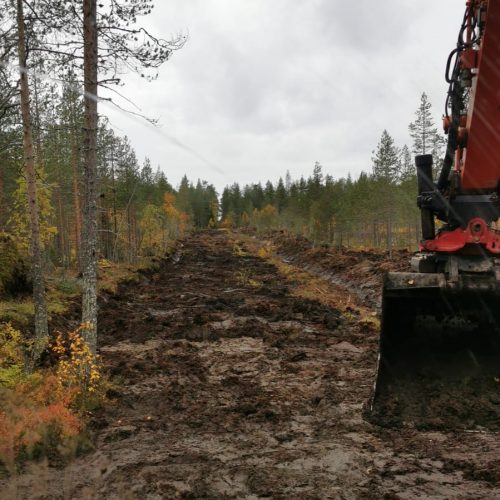 Talvitien pohja2_rajattu